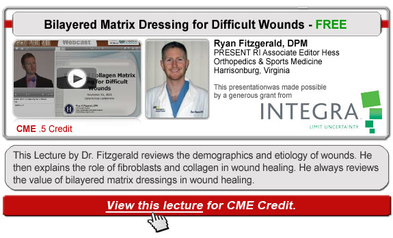 Bilayered Matrix Dressing for Difficult Wounds