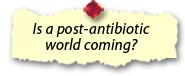 Is a post-antibiotic world coming