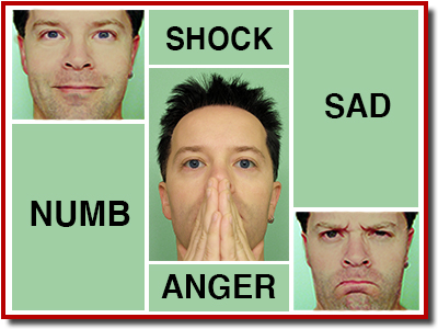 3 faces of emotion: numb, shock, and anger surrounded by the words numb, shock, sad, and anger.