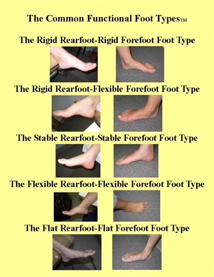 define forefoot