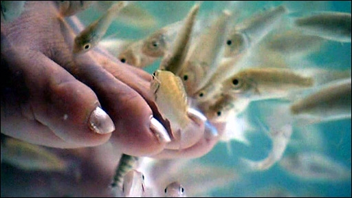 Garra Rufa Fish Pedicure